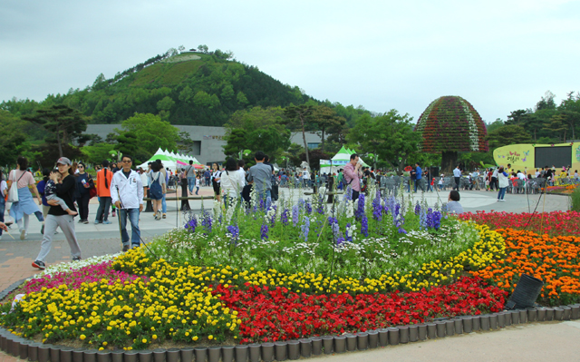 Lễ hội bướm Hampyeong thu hút du khách nhí ảnh 1